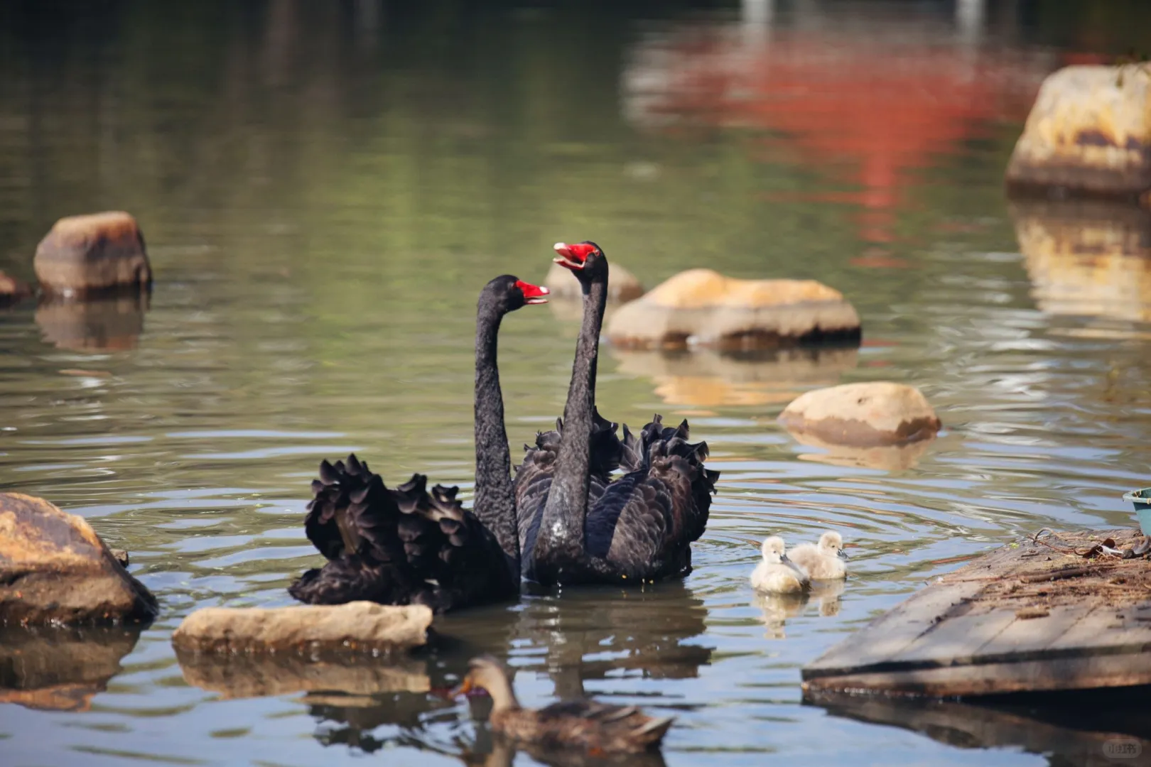 桑浦山校区 | 依山筑梦,以光为引
