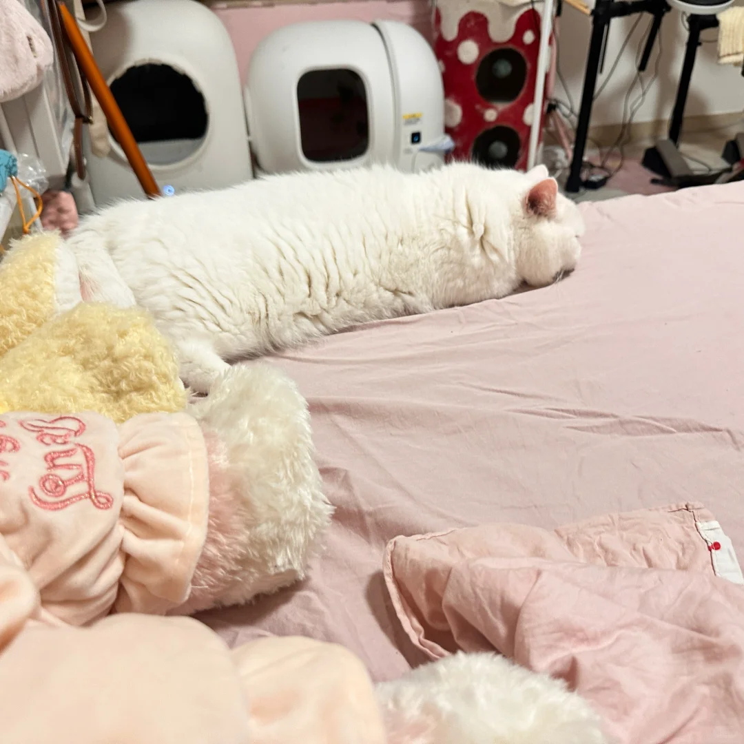 宁德时代打工人近期碎碎念