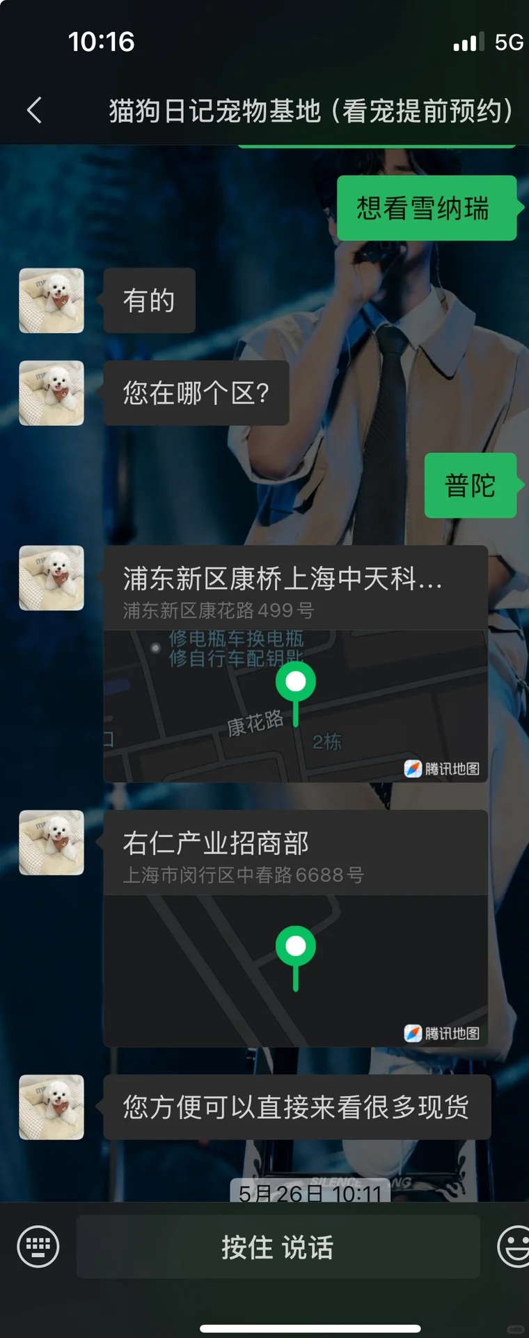 上海上班族女生普陀买雪纳瑞避雷商家！！