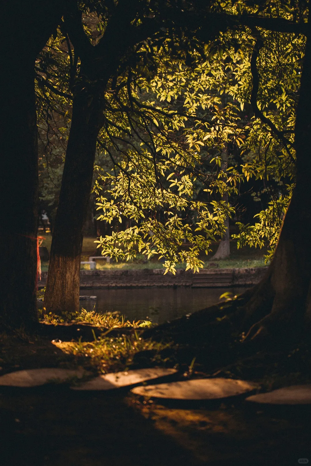 桑浦山校区 | 依山筑梦,以光为引