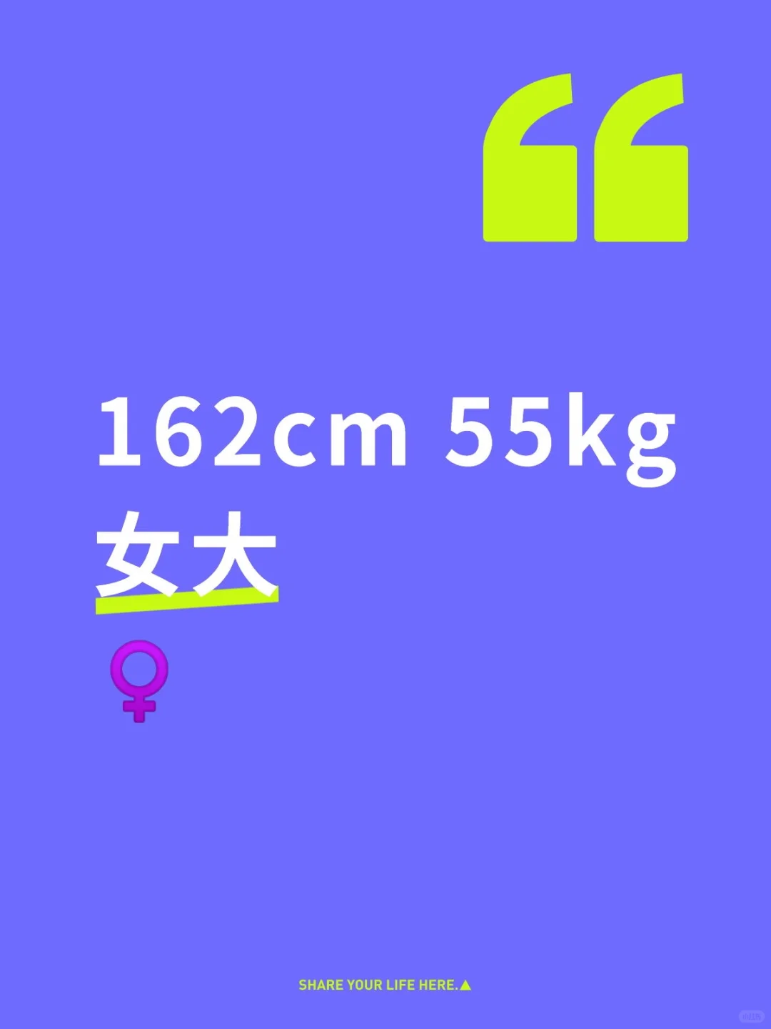 女大 搭子