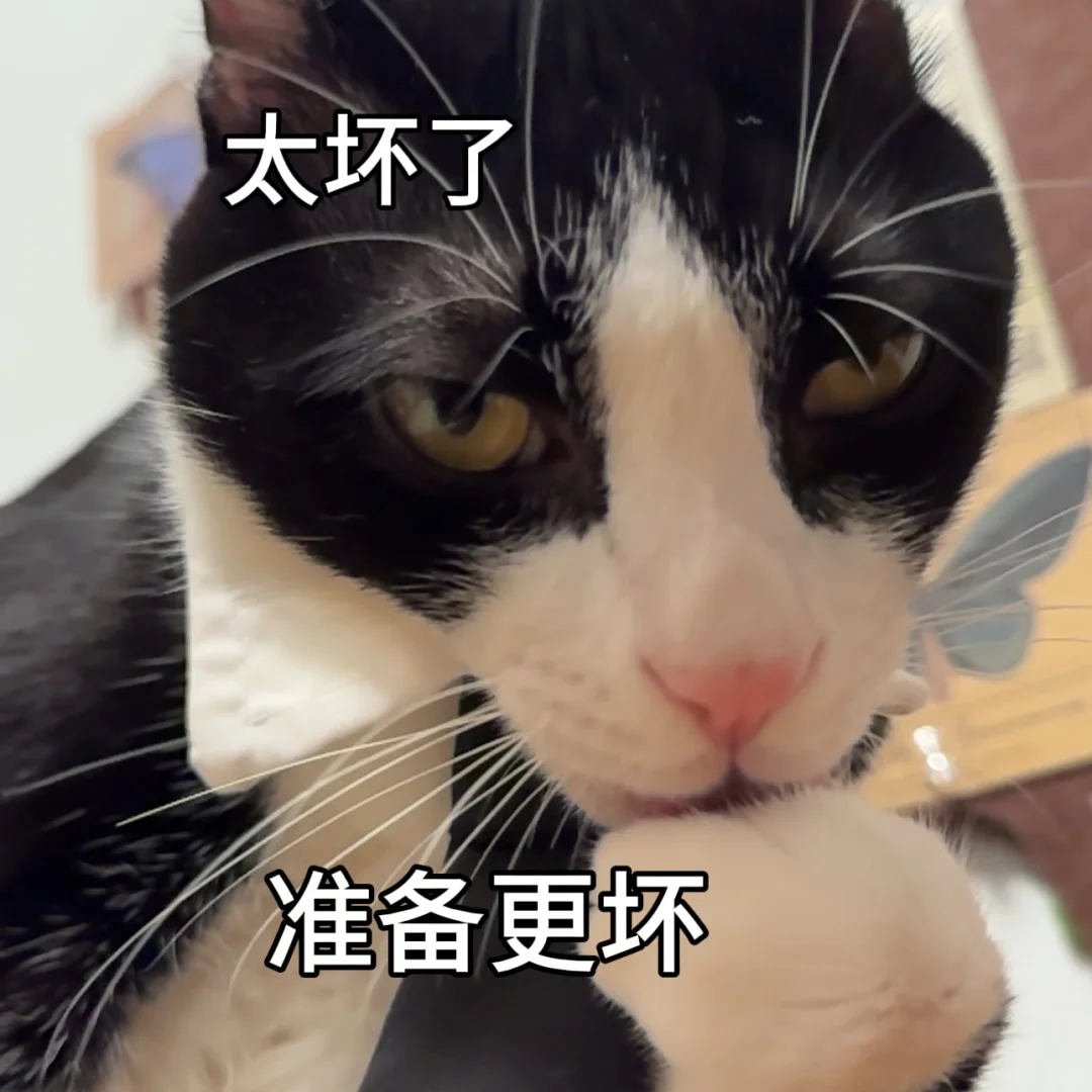 🥴鸭头～泥的秘密是love me吗？（表情包第二弹