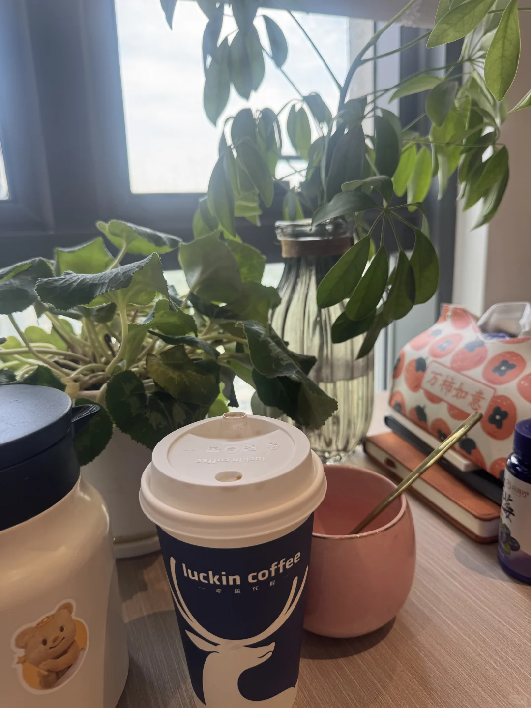 宁波女律师的真实工作状态：一次普通的讲座