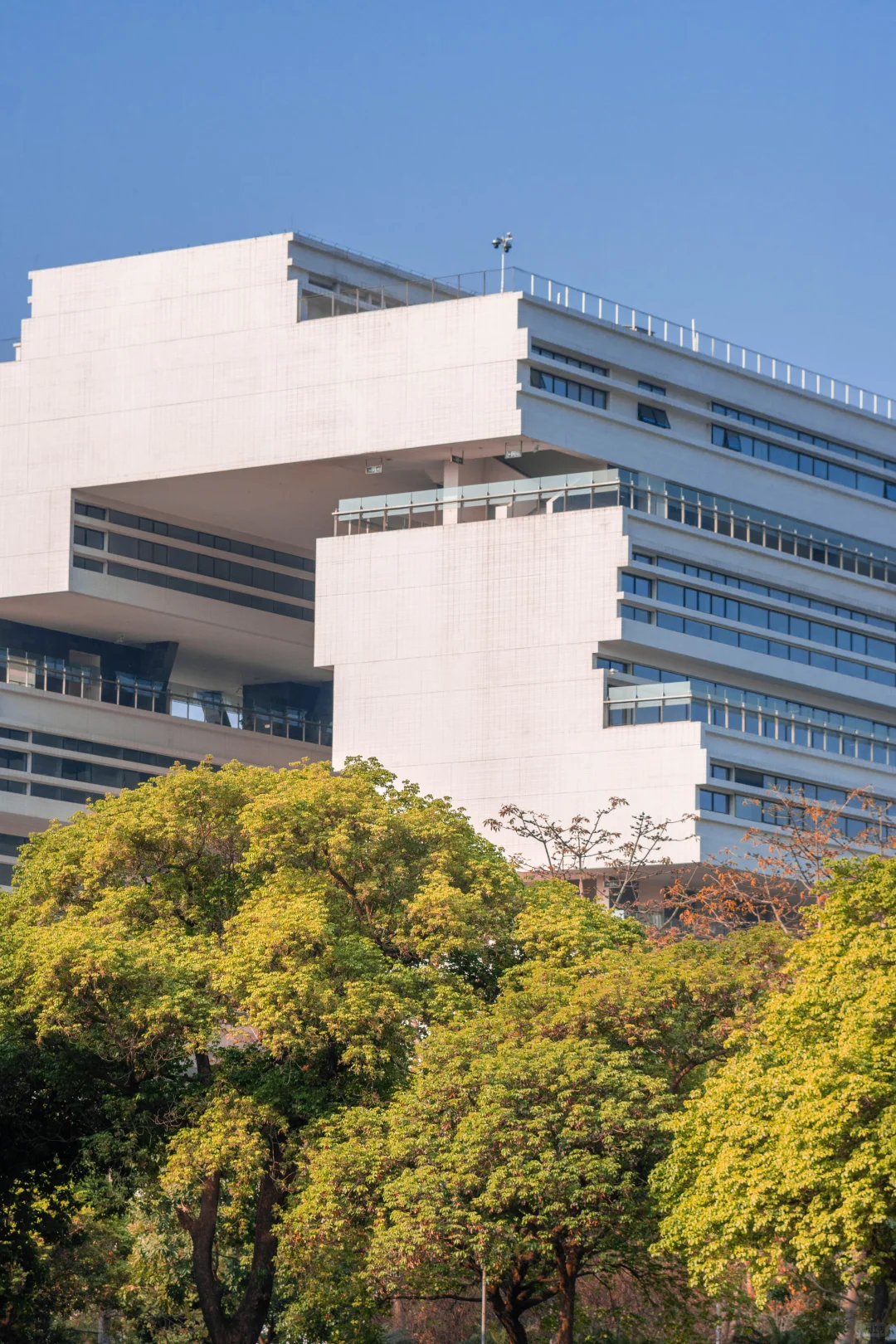 桑浦山校区 | 依山筑梦,以光为引