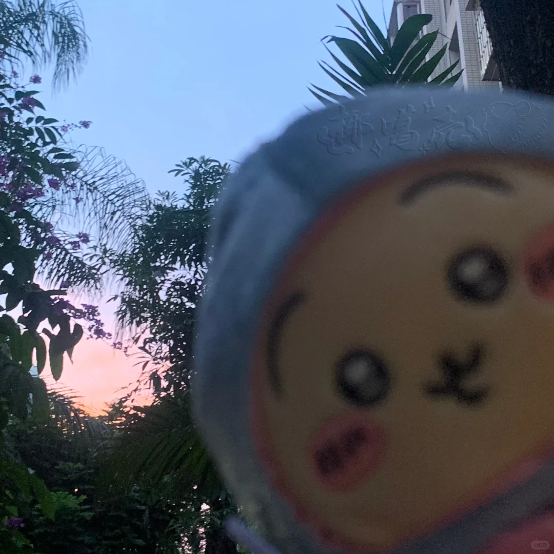 乌拉美照一组(៸៸᳐◜𖥦◝៸៸᳐)੭