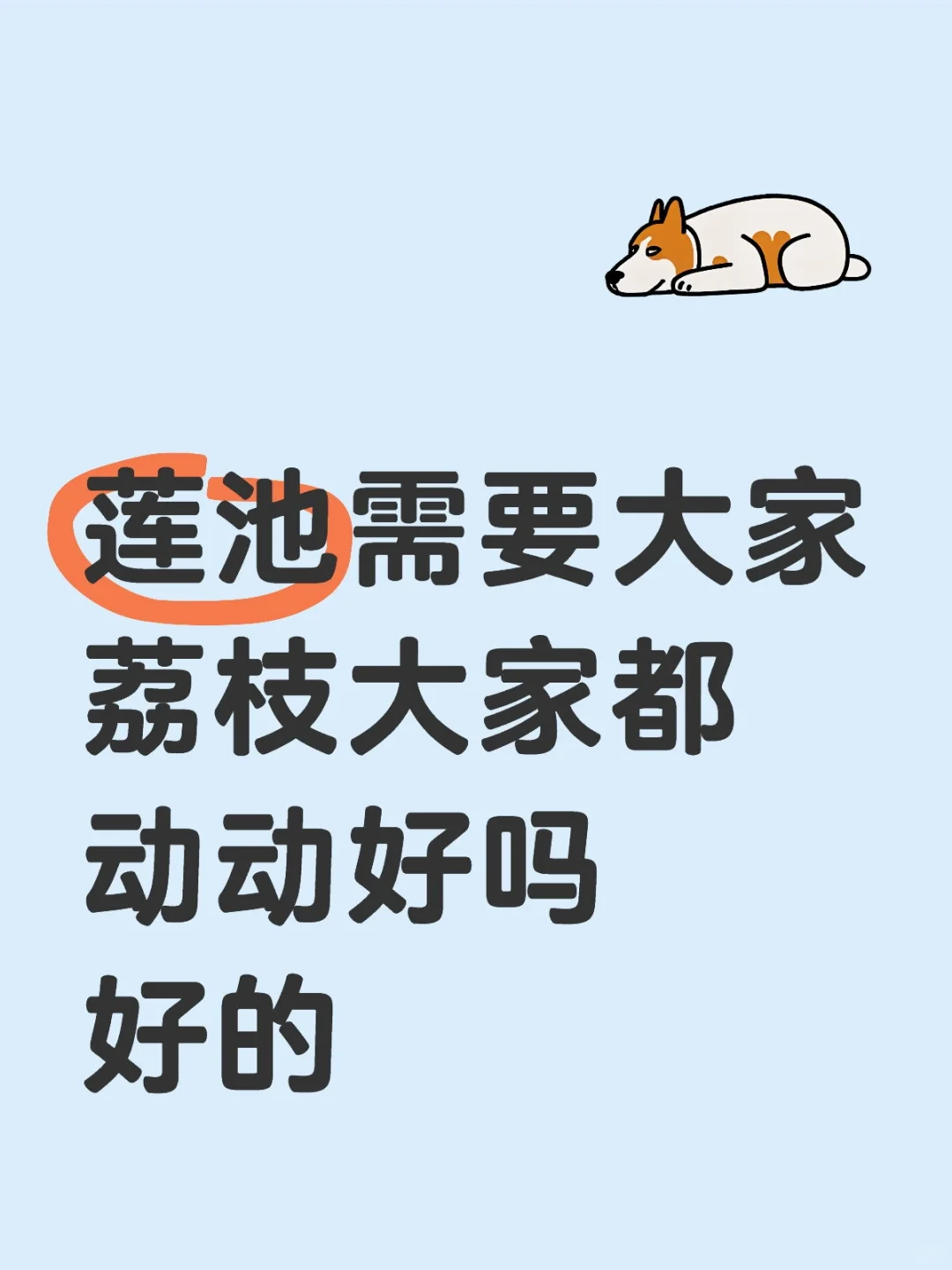 贝壳请看