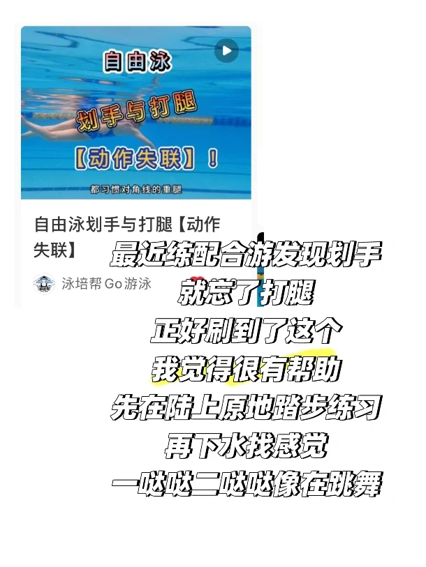 我的自由泳电子教练总结