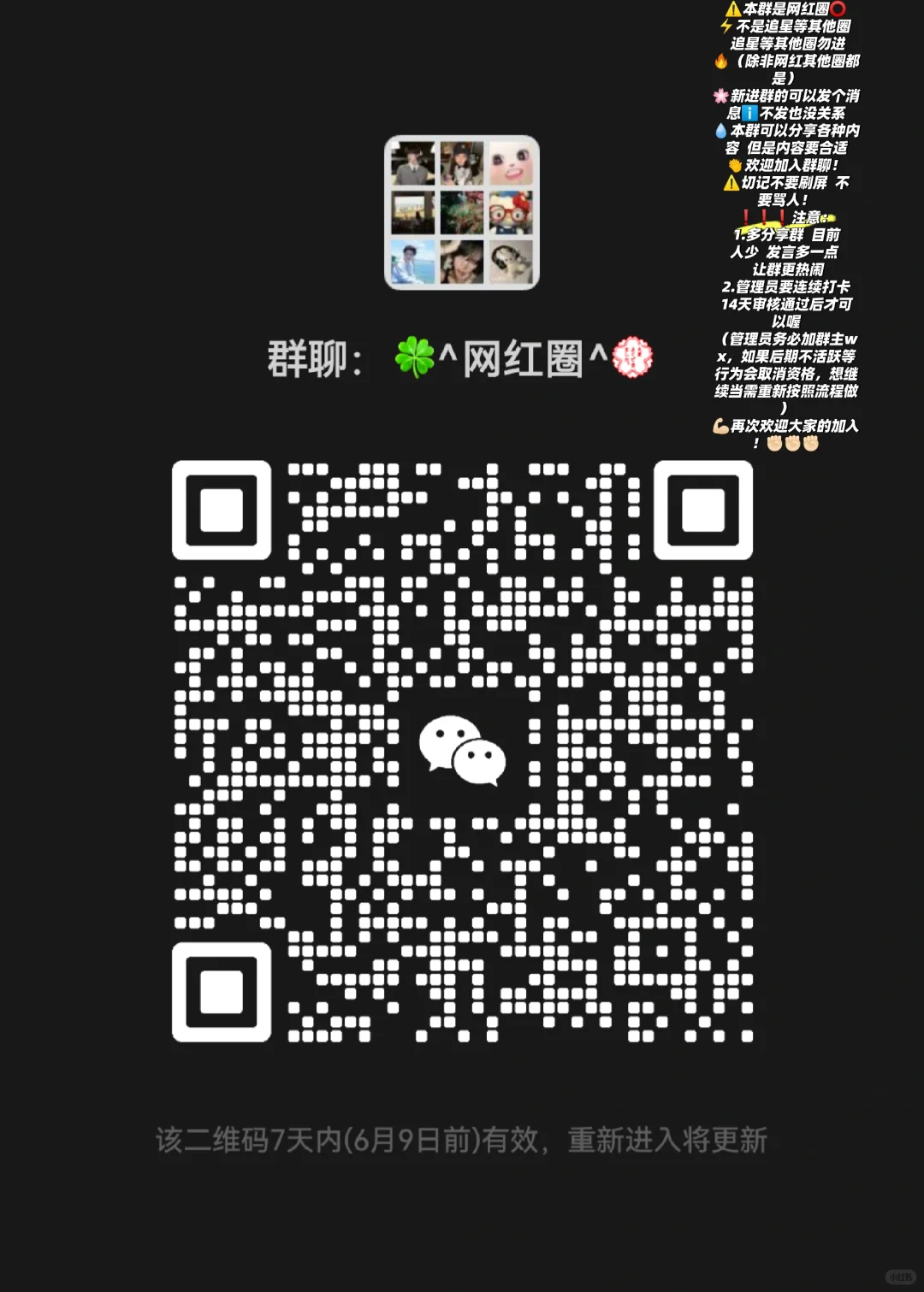 赶紧入群‼️