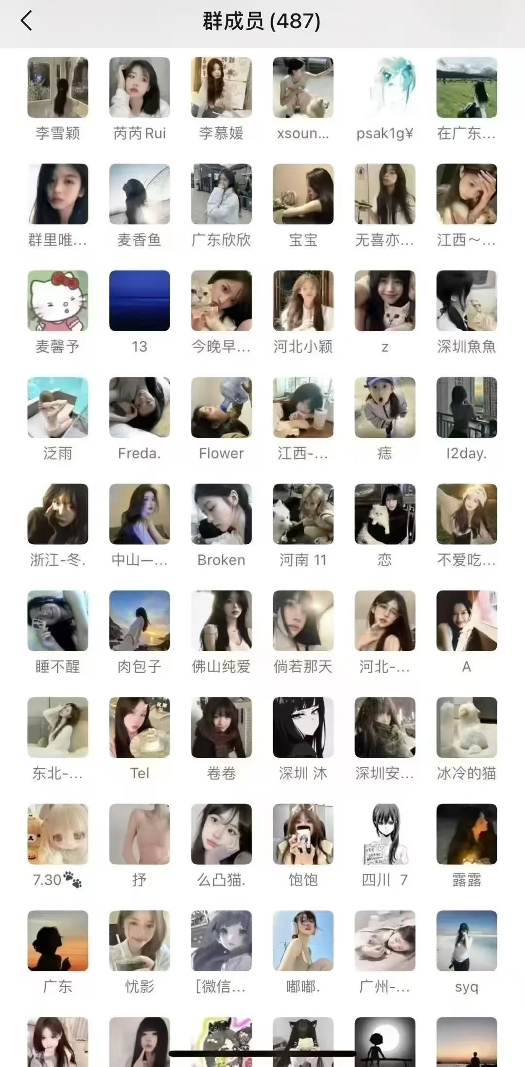 都是高质量群。女人常换，搭子常在都是女孩