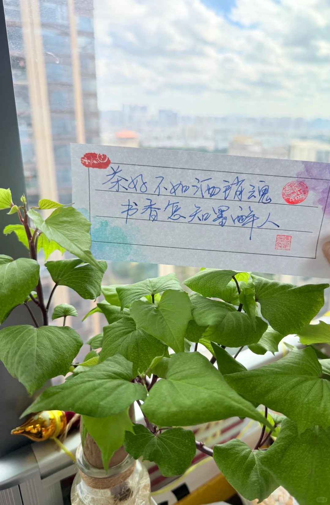 你们的行业要穿职业装吗
