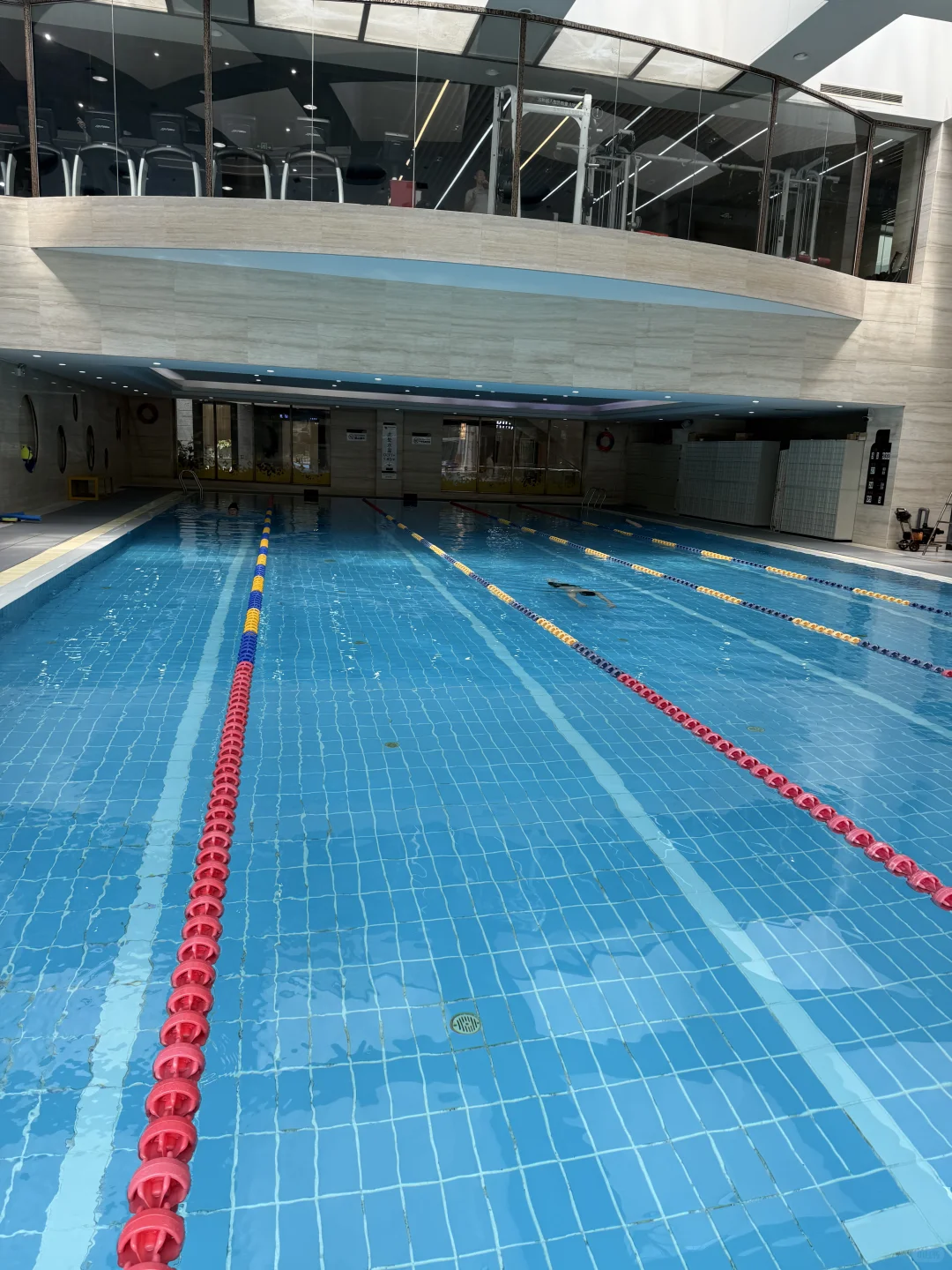 今天入水❗️1500米游出点儿活人感🏊‍♀️