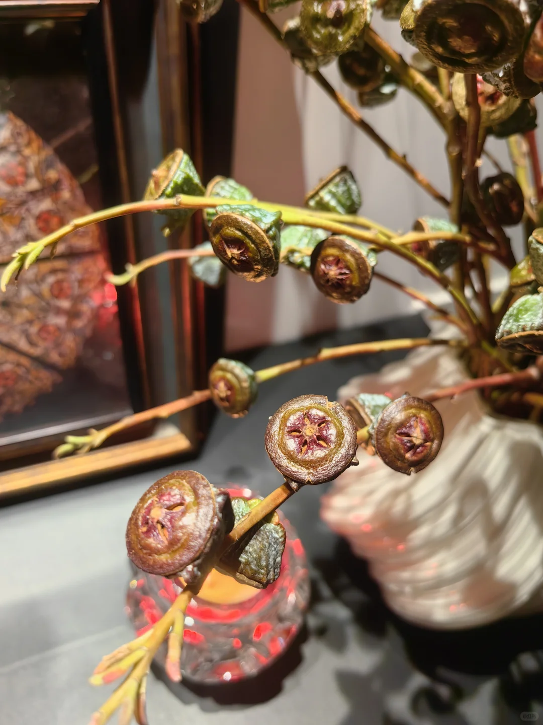 清新脱俗的尤加利果，有喜欢的吗