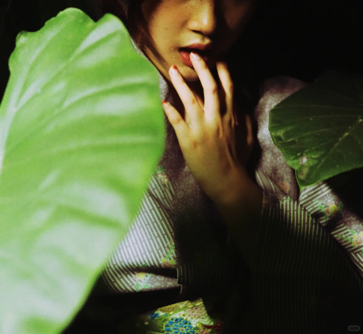 【点·写真】荒木经惟派摄影尝试