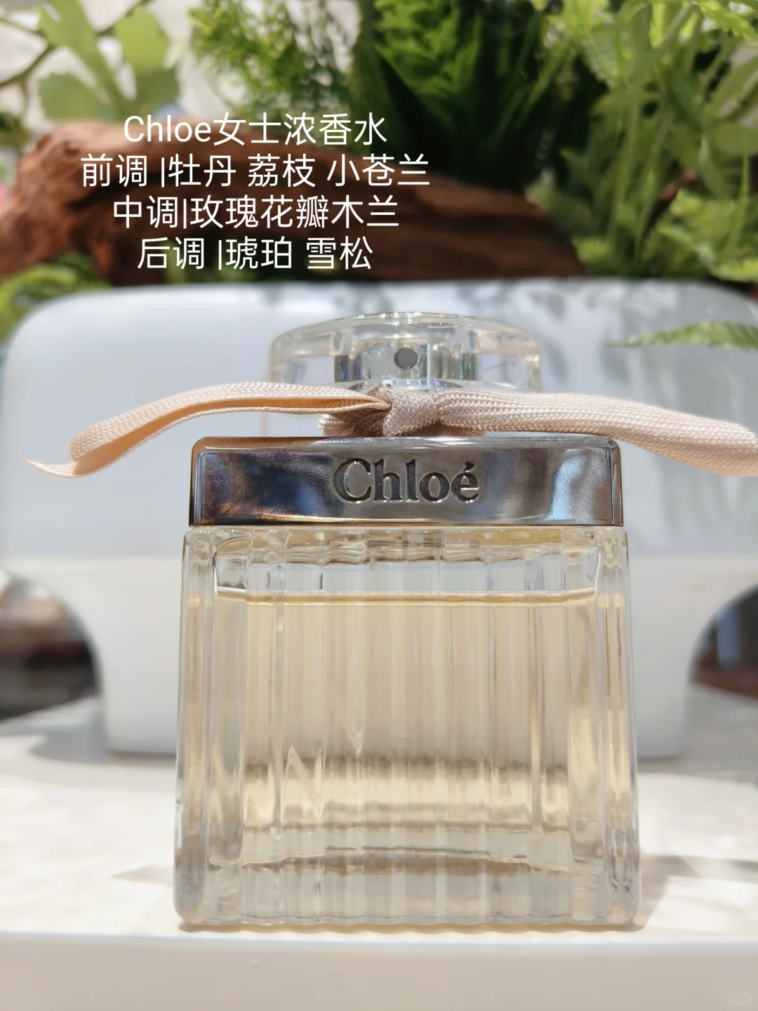 遇见永恒优雅 | Chloe 肉丝带香水