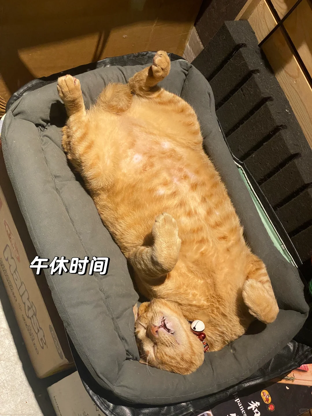老板眼中的好员工应该是这样的
