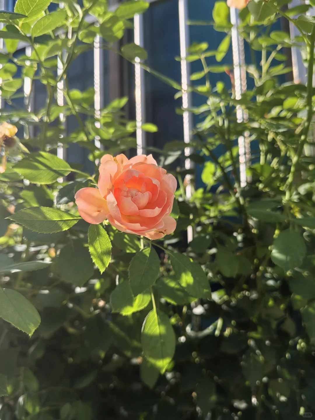 45+韵味最浓，魅力无限，你们认可不！