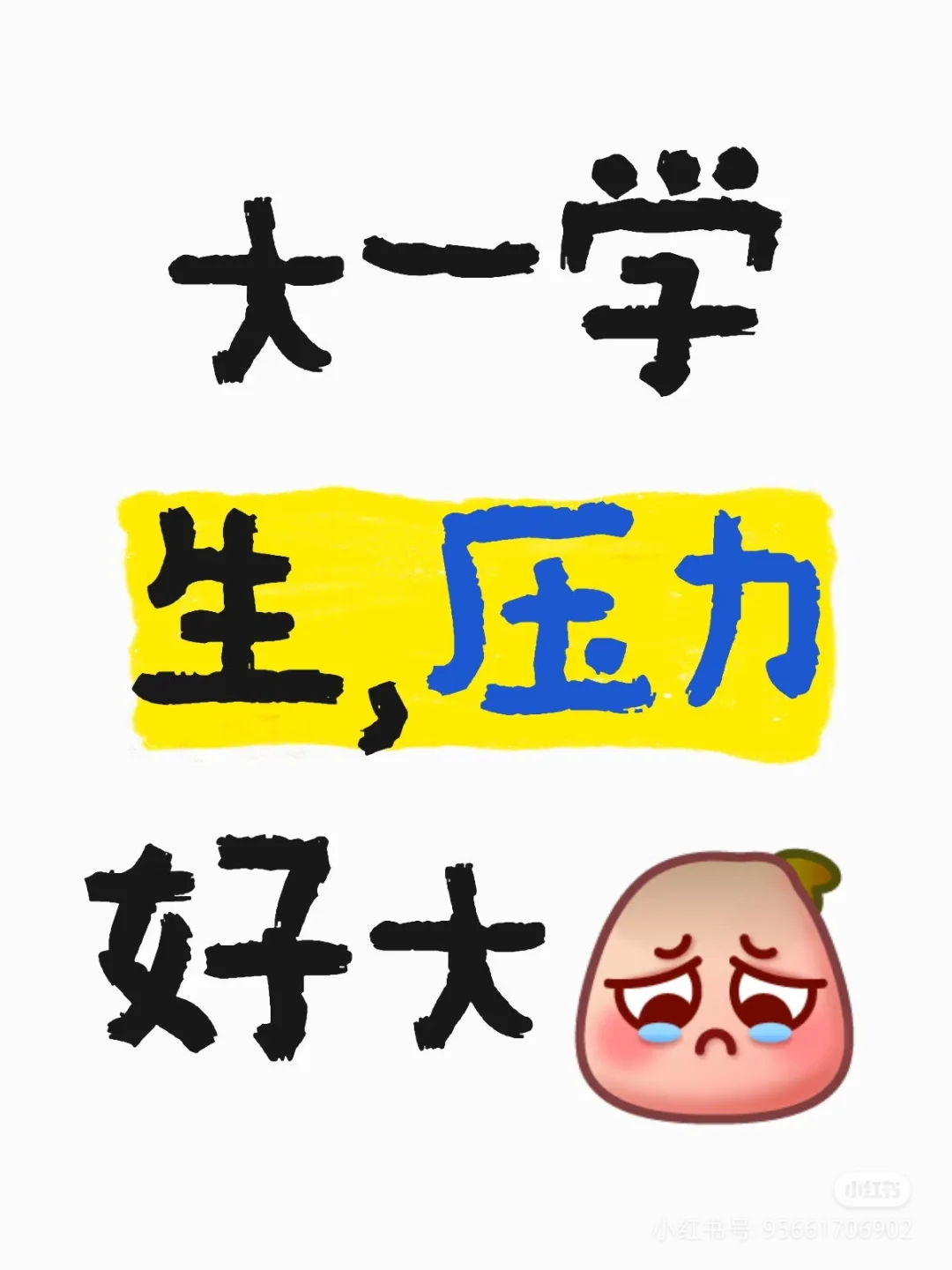 大一女生，压力好大