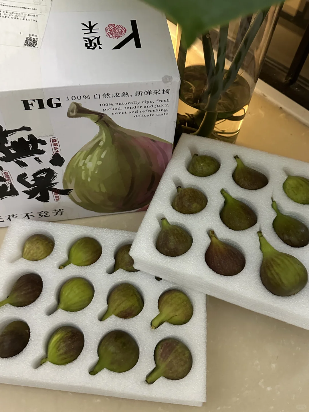 格莱斯无花果这是正常状态吗