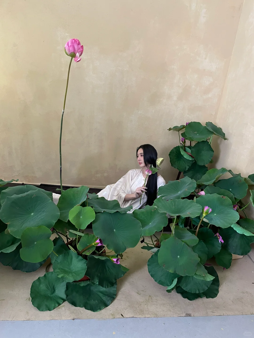 样片花絮｜荷间佳人，逸韵如仙