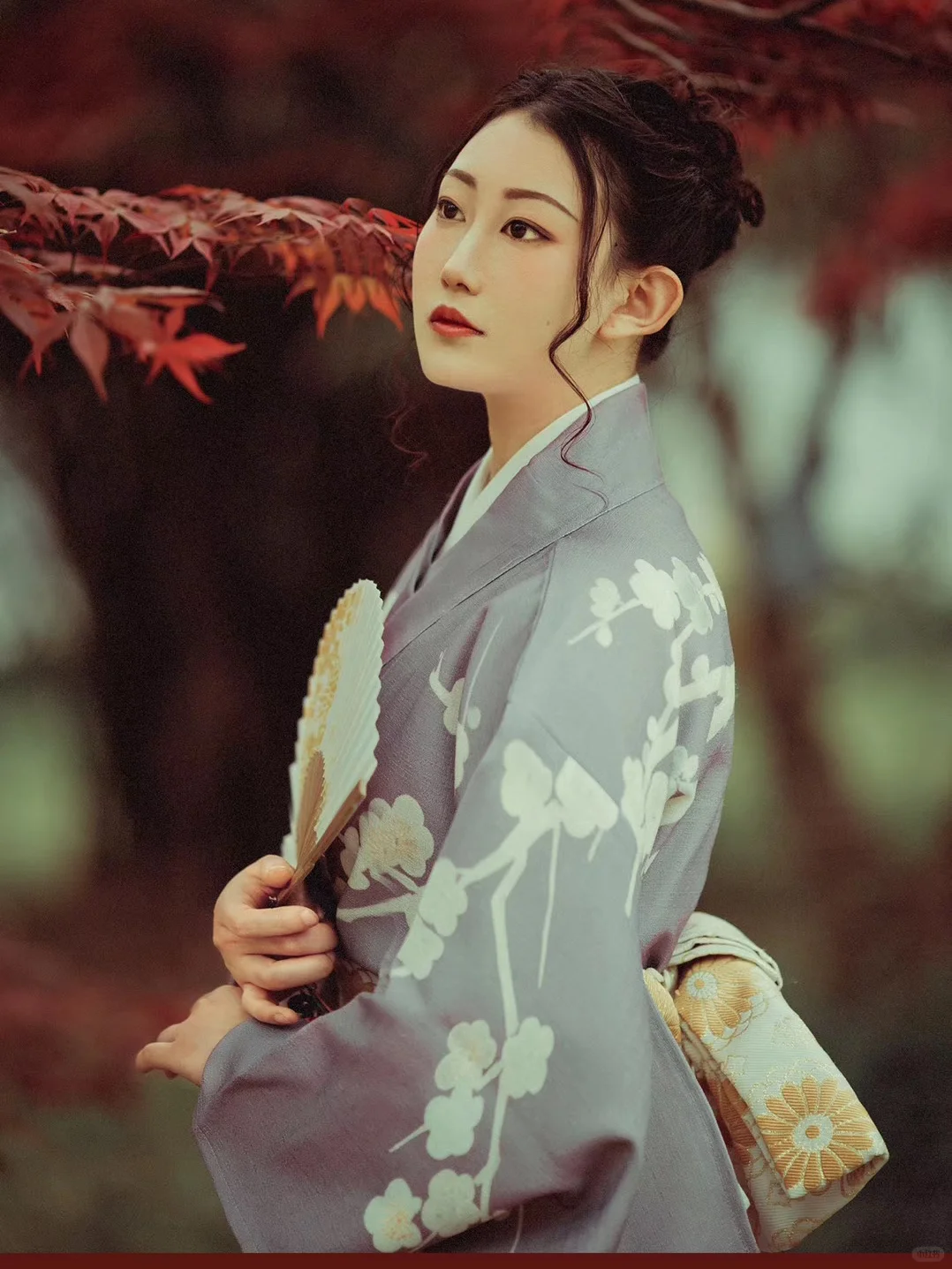 🍁枫叶&和服 绝绝子