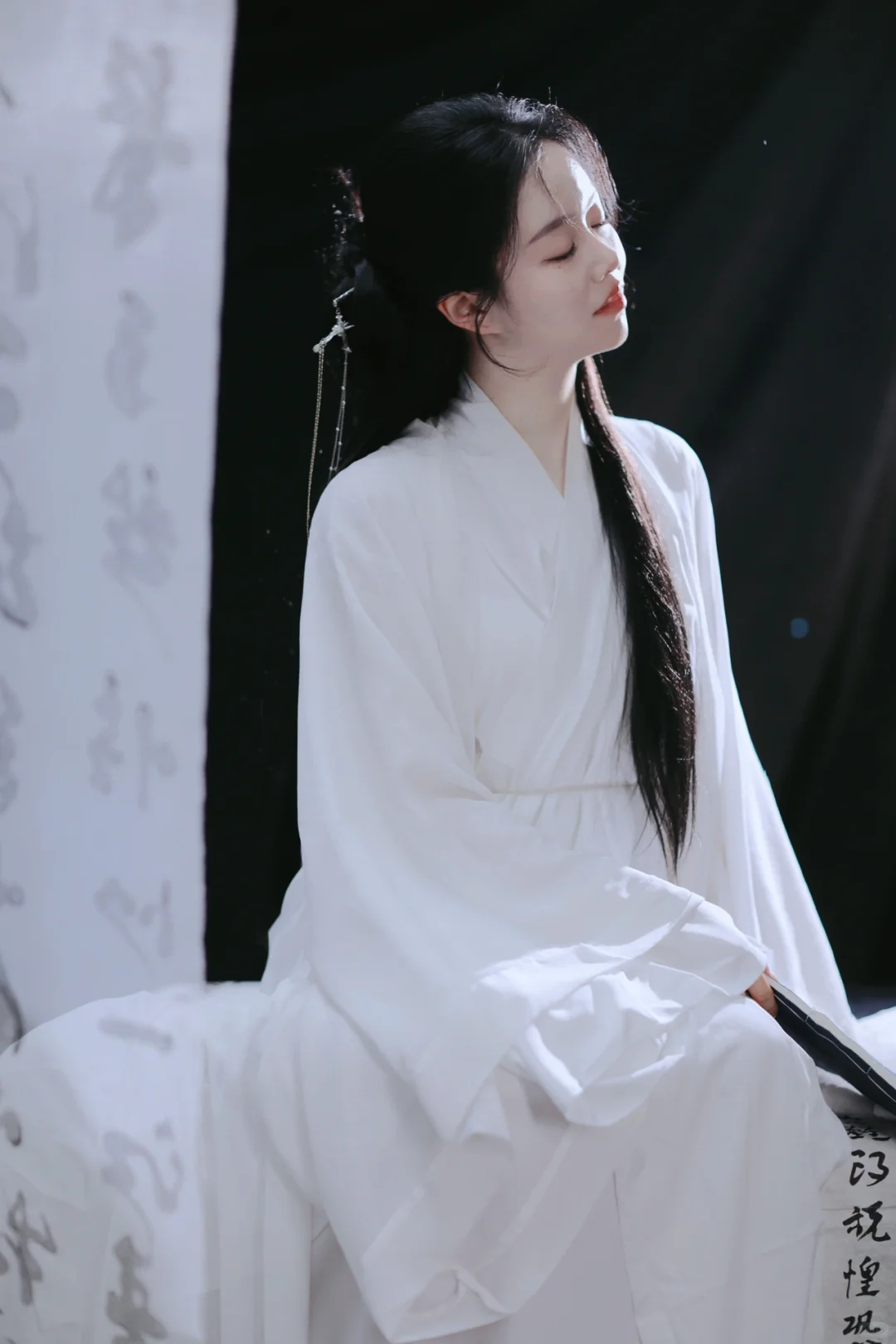 “与关风月，我题序等你回”🖤水墨书法写真