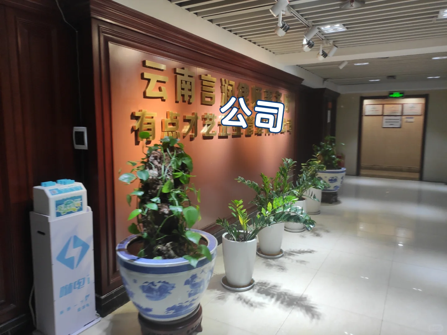 以身入局之花场模特