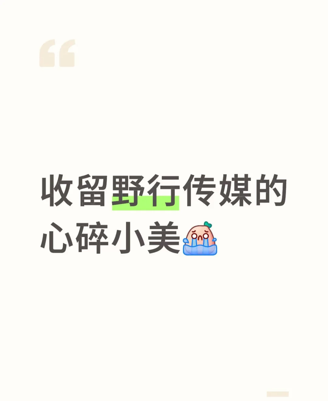 收留野行传媒的心碎小美