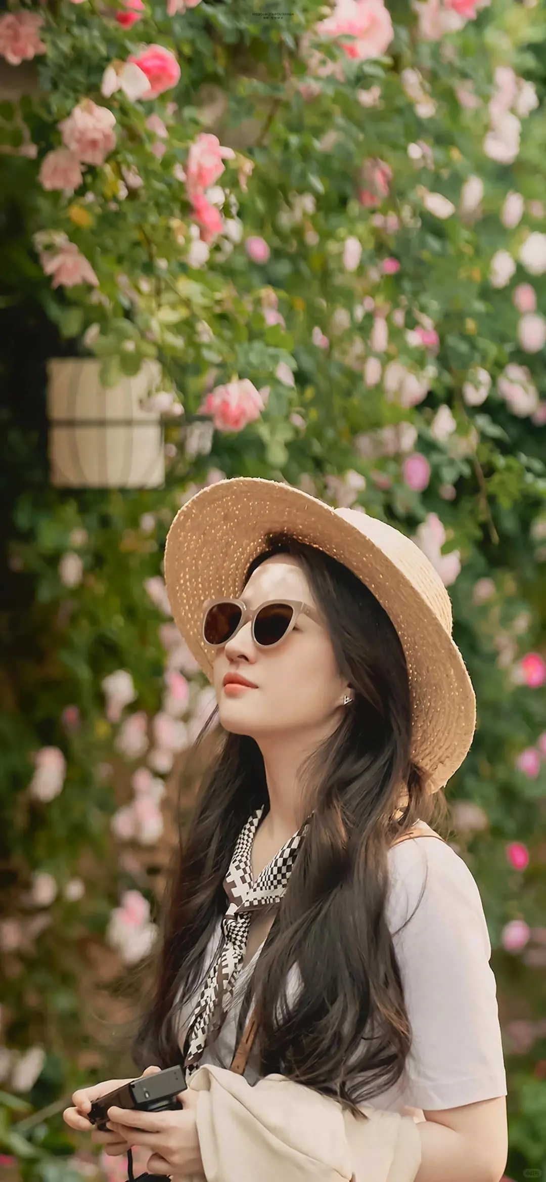 share｜刘亦菲手机壁纸