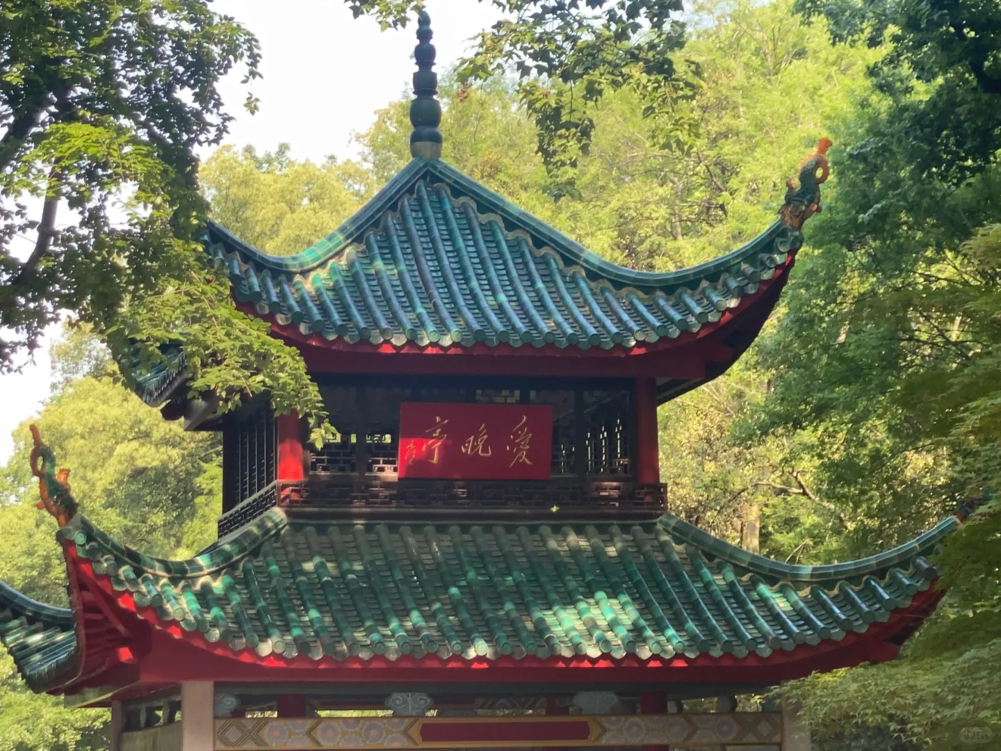 阳光适宜 爬上岳麓山看远方
