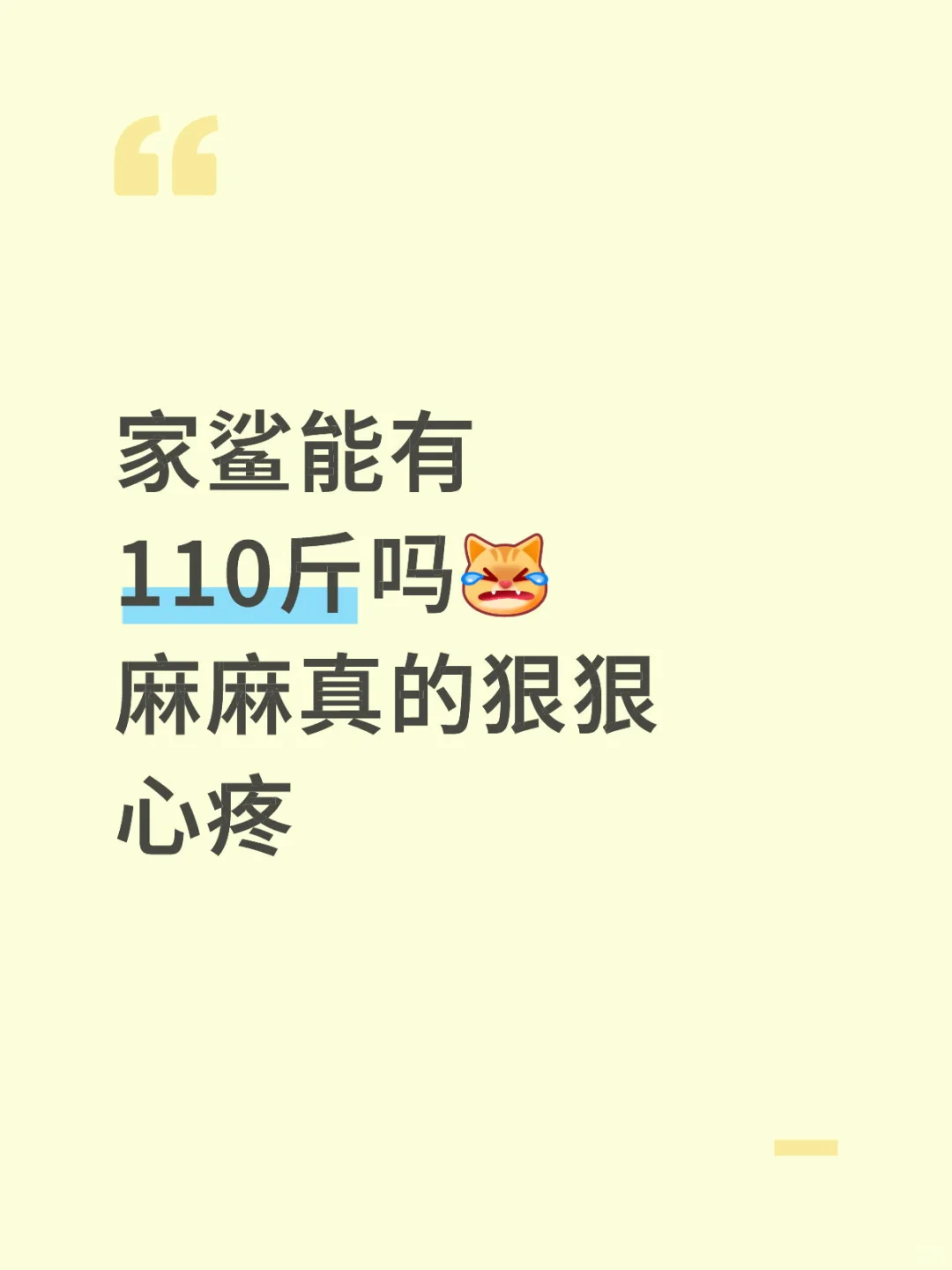 今天的机场图给我看死了