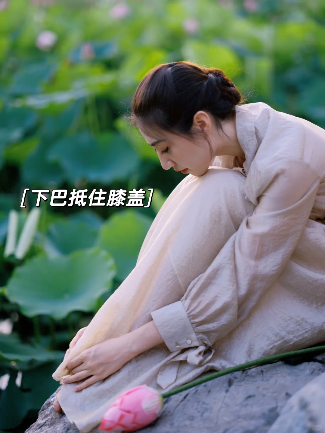 普通人怎么拍出氛围感荷花美照？