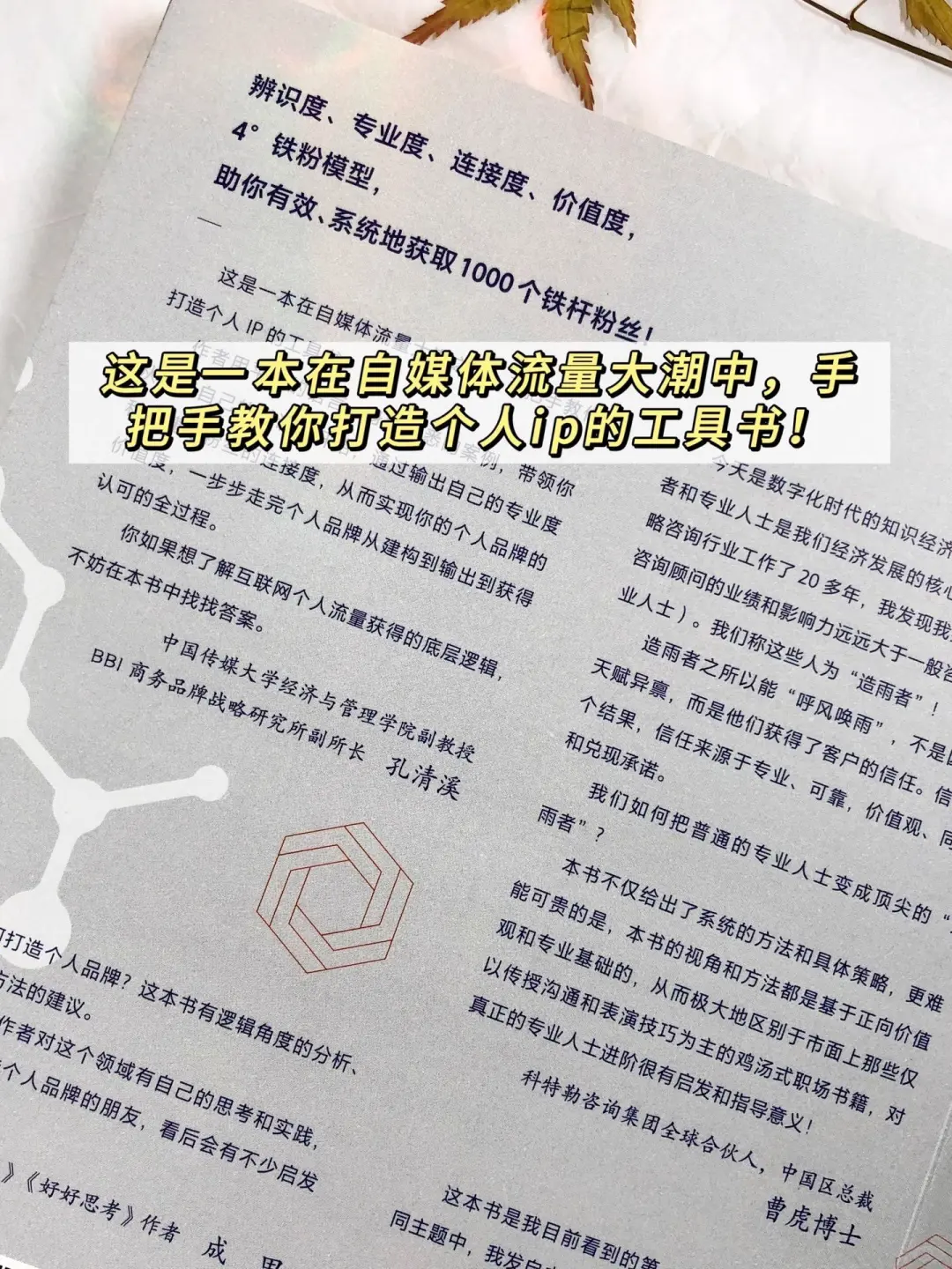 被问爆的《1000 个铁粉》❗都给我去读