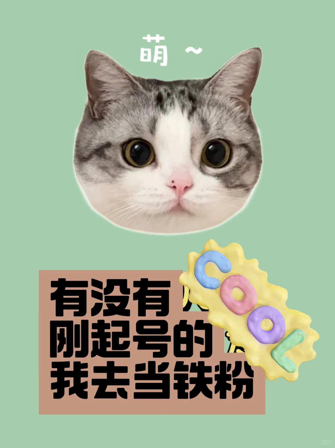 在线蹲刚起号的博主！我要当铁粉😼
