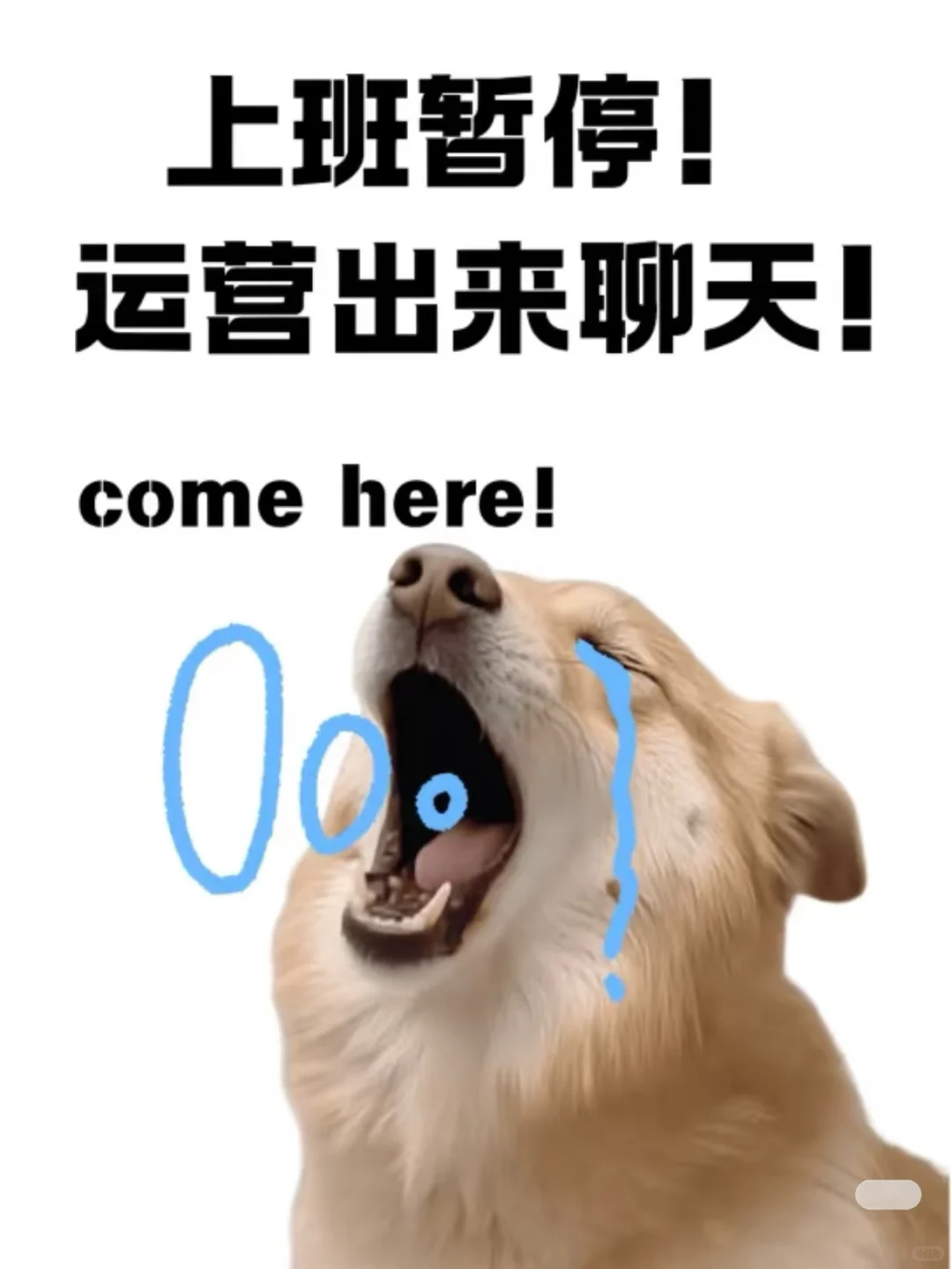 出俩聊天啊 都别工作了