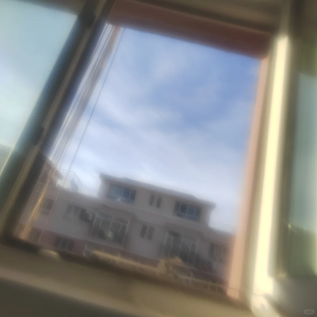 美照想要拿走