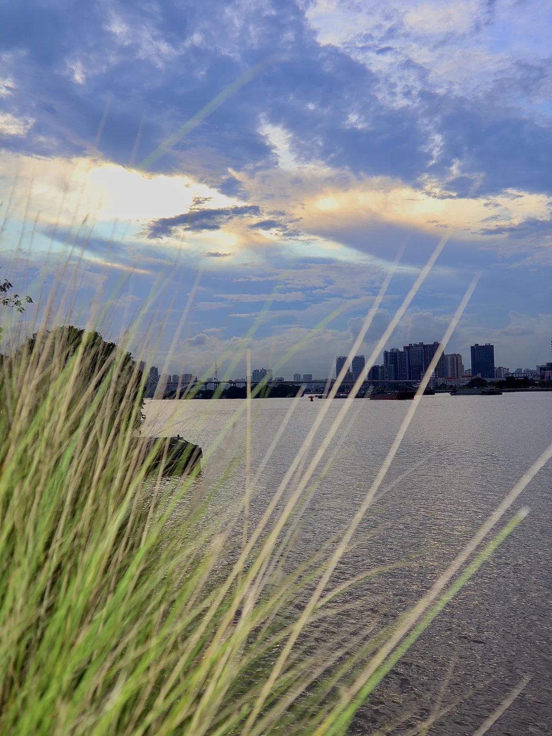 又挖梦幻打卡新地标📍看江景又拍美照📸
