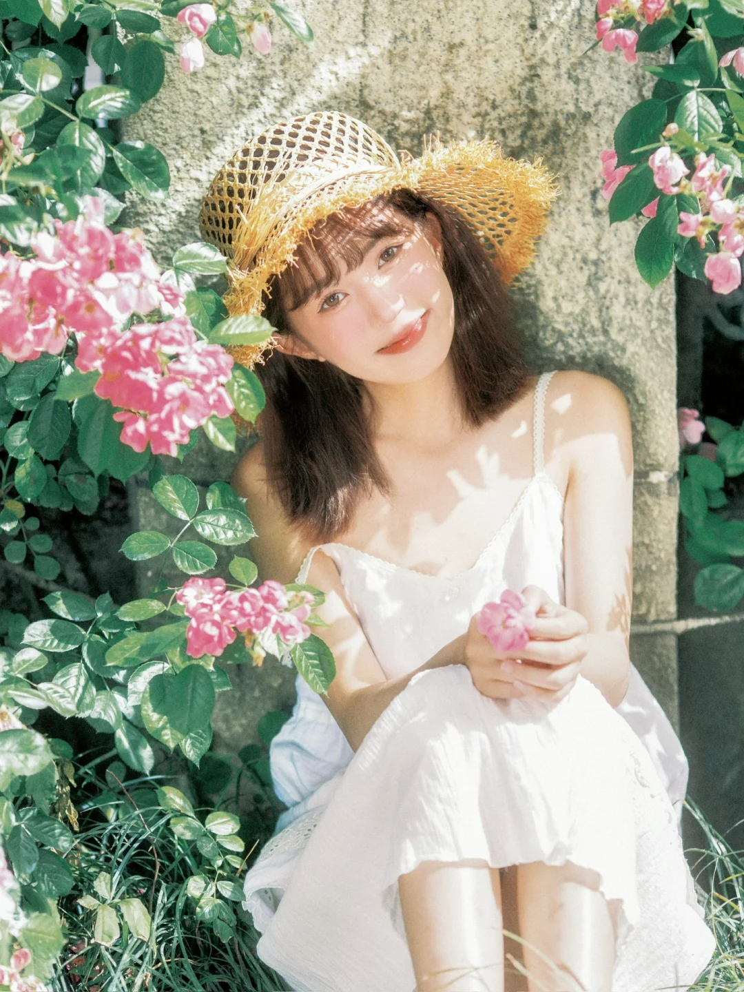 祝我永远明媚