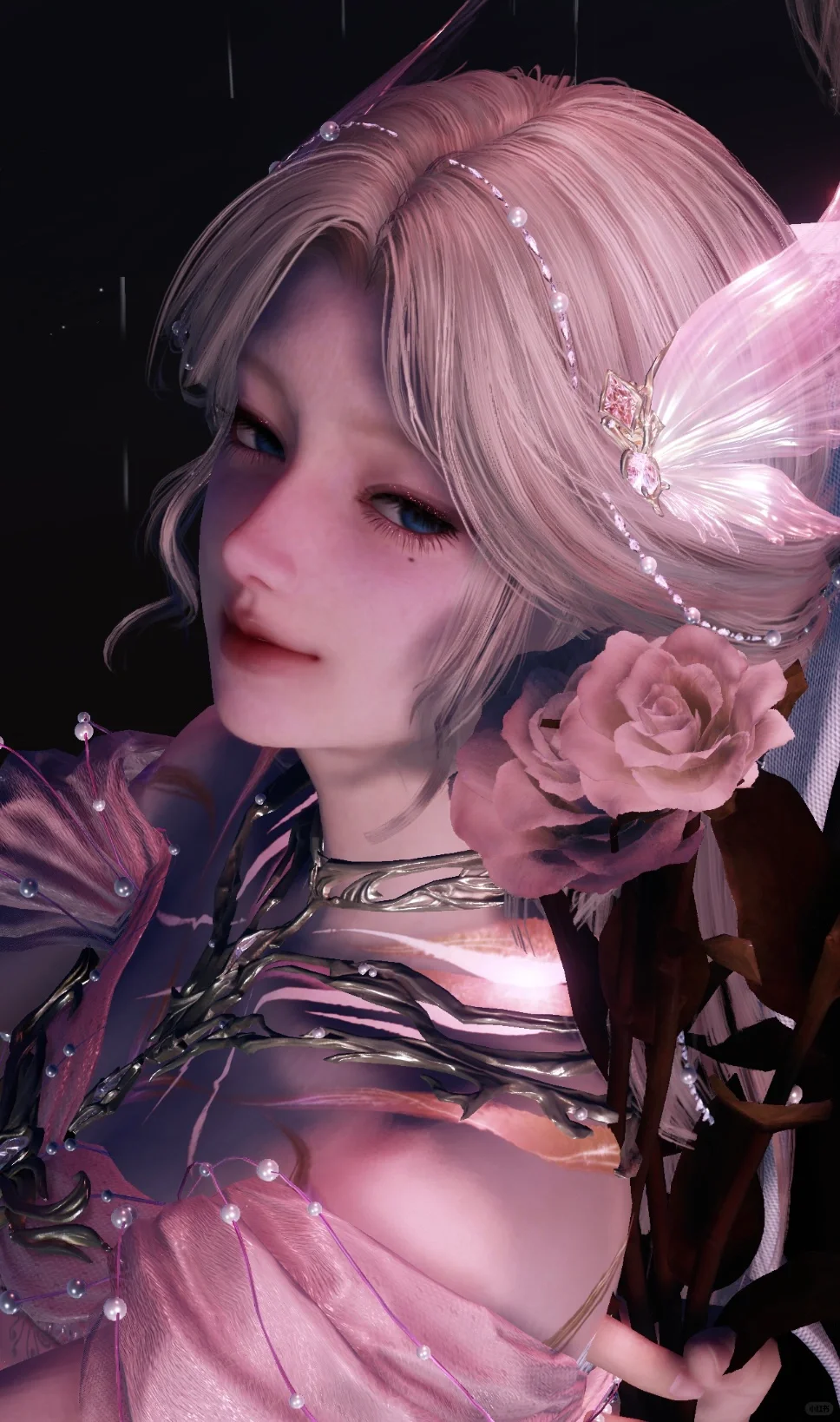 想看看夫人们的美照🥰