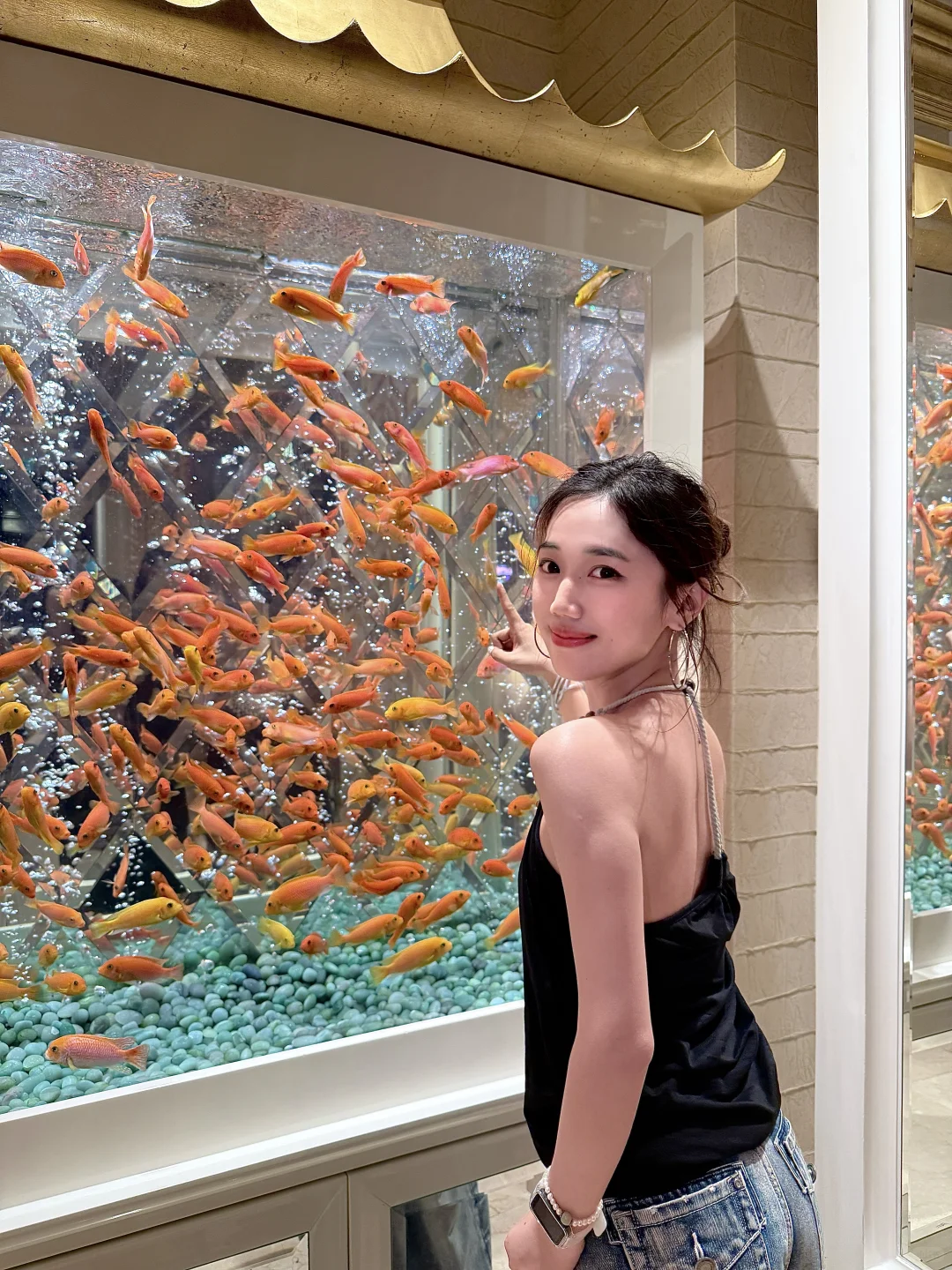 没人会告诉你 🇲🇴澳门发财金鱼美照的背后