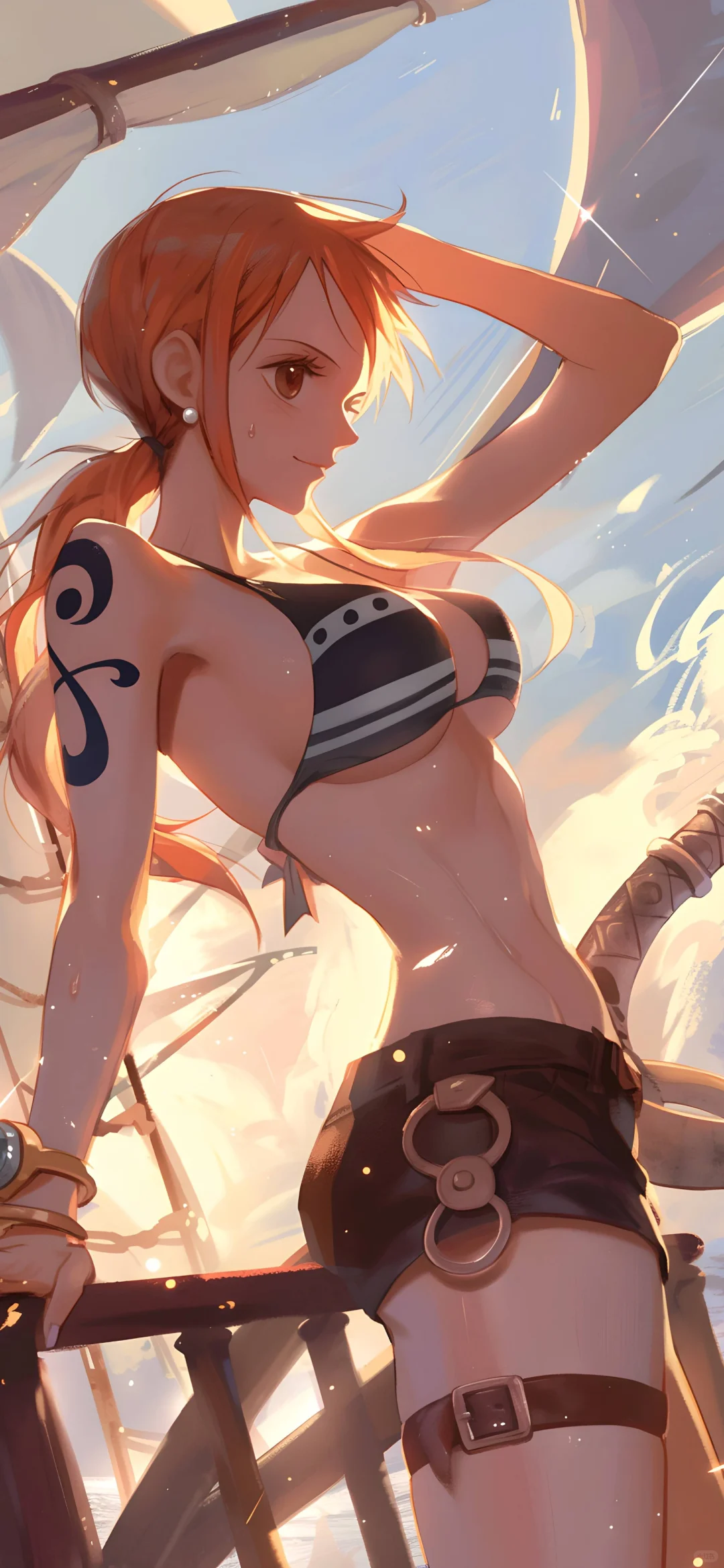 海贼王之美人图