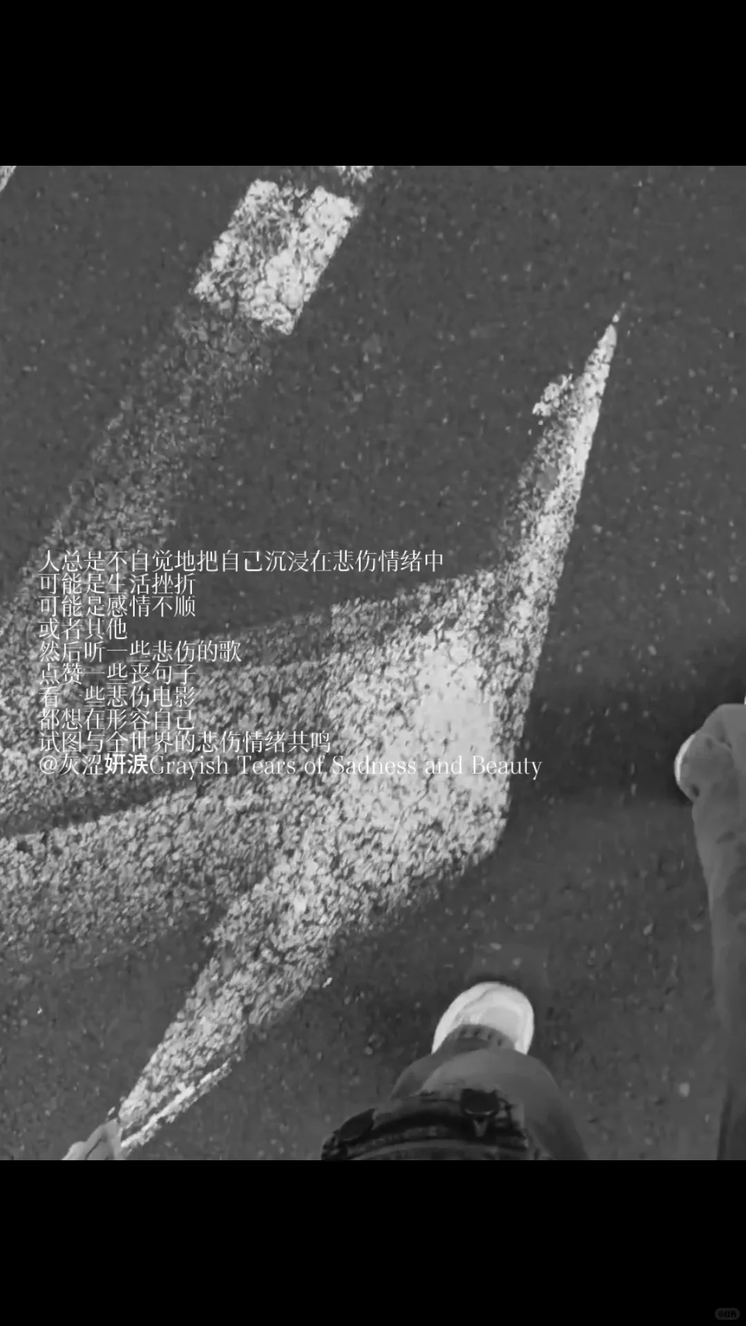 我是北纬67°以北的雪