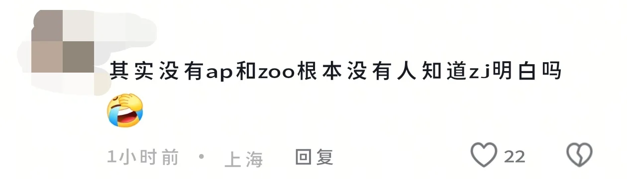太有意思了