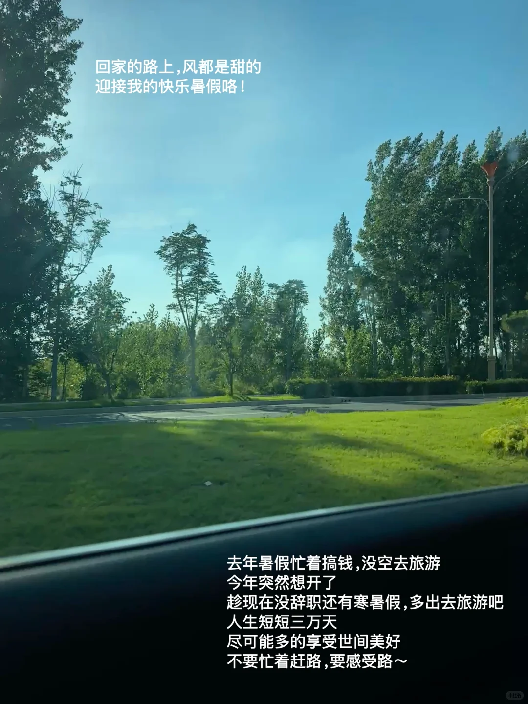 体制内plog｜半山腰太拥挤，我们顶峰相见！