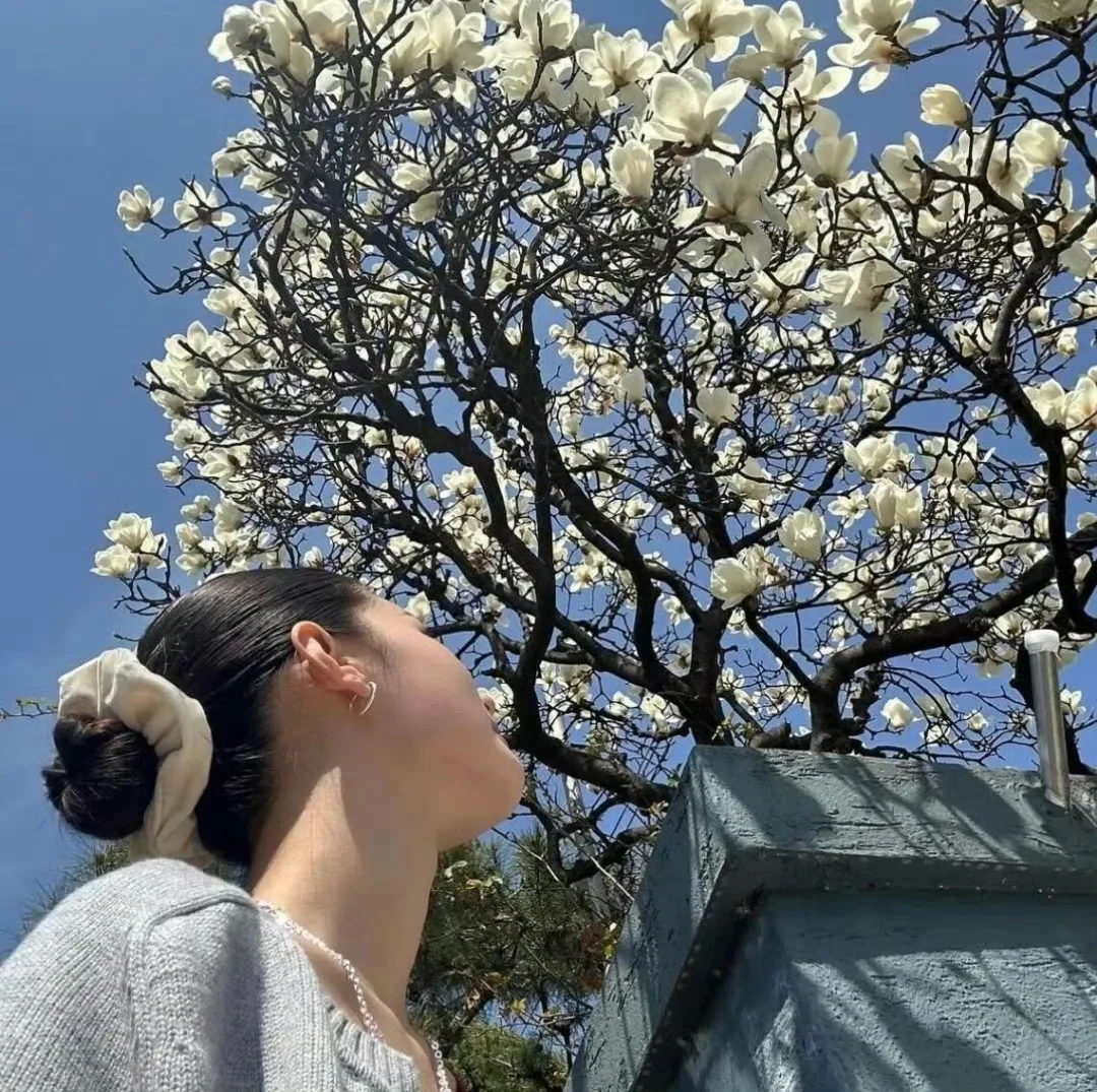 春日绽放🌹