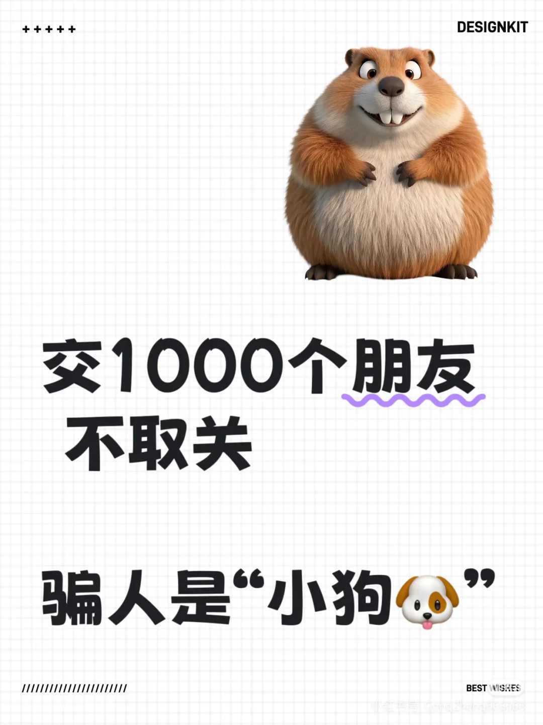 有没有人新起号的，我去当铁粉