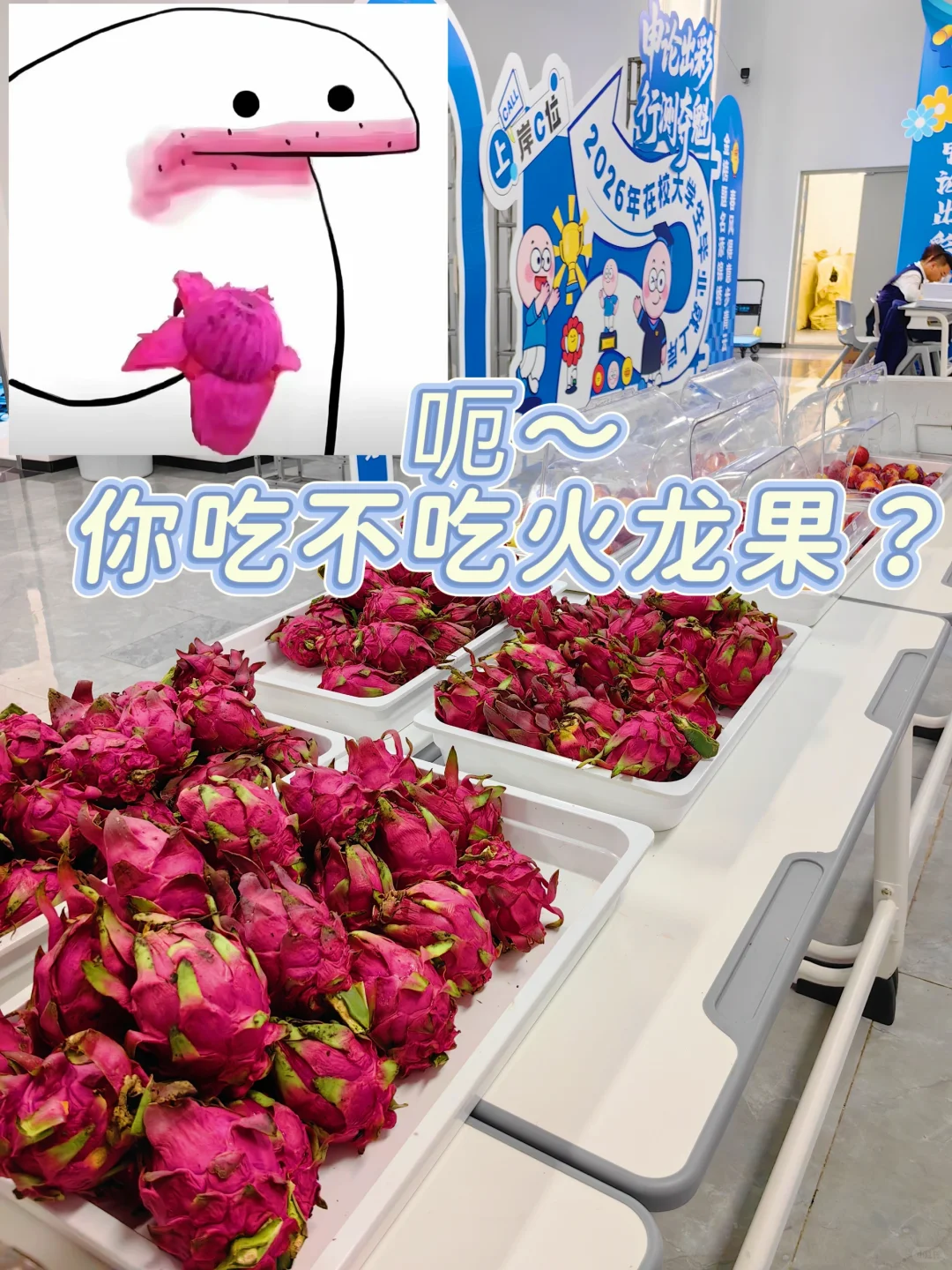 谁吃了我的火龙果？是不你吃了我的火龙果