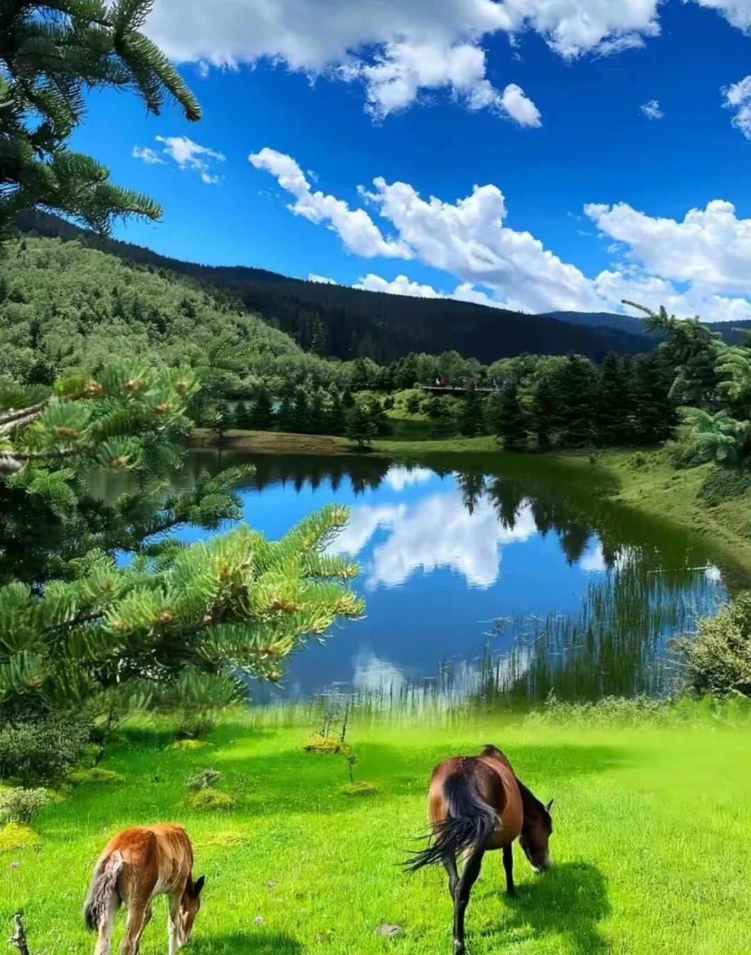 7、8月云南一周神仙旅行攻略💥被美到失语