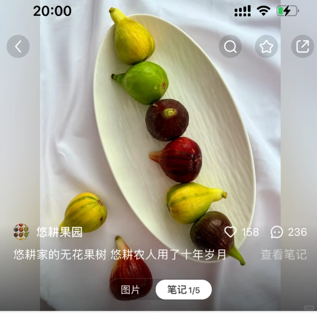 无花果谁可以出我啊！