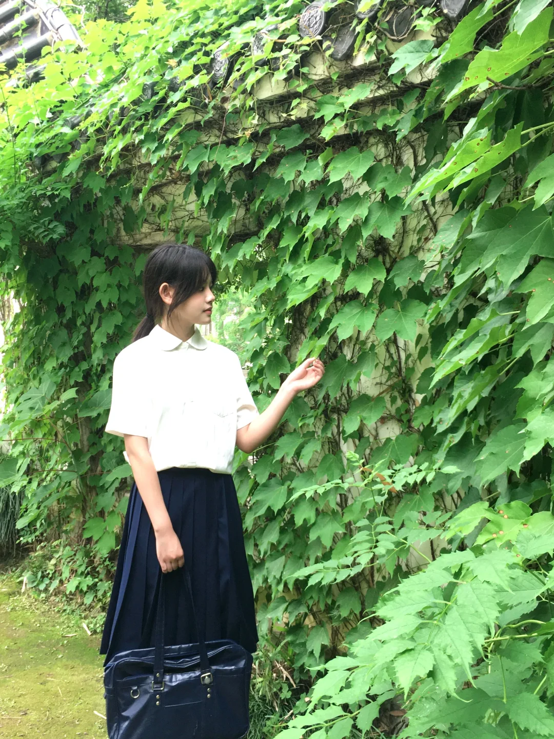 我在绿意里寻找夏天