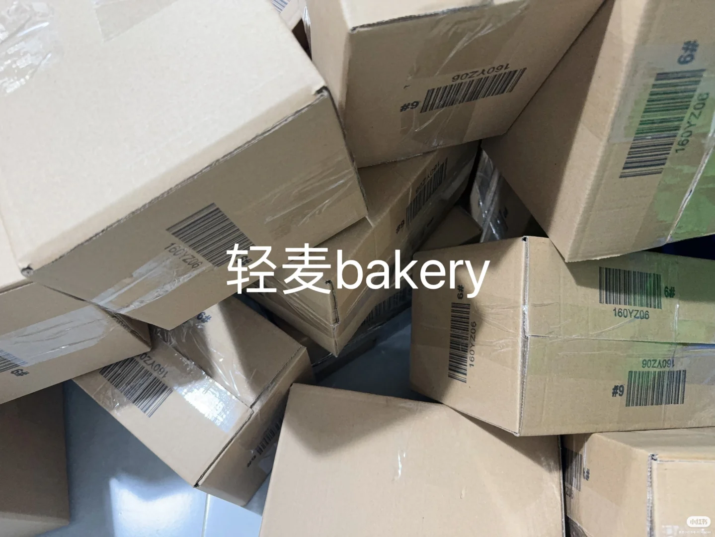 感谢小红书让轻麦有这么多铁粉